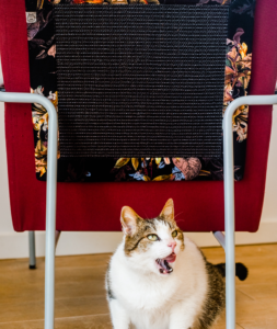 koci drapak na meble, drapak dla kota