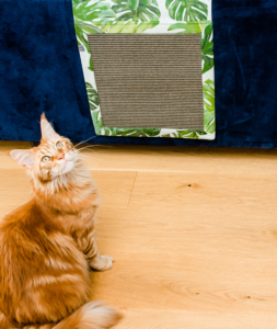 Panakota - mata dla kota wisząca hultaj z liścia