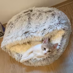 ⭐️⭐️⭐️⭐️⭐️