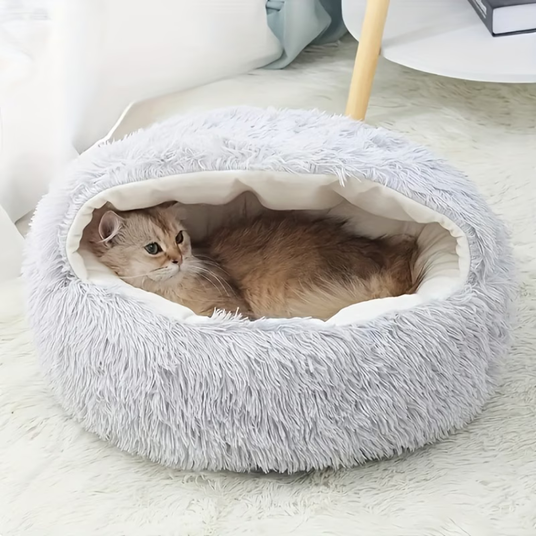 Projekt bez nazwy - 2026-03-21T173357.333