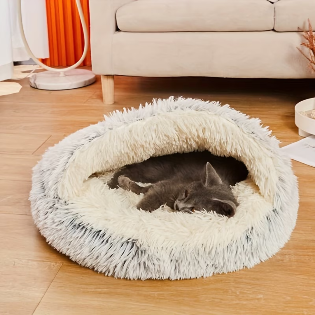 Projekt bez nazwy - 2026-03-21T173607.646